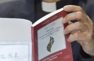 Documento de Trabalho do Sínodo: "Amazônia pede à Igreja que seja sua aliada" Documento de Trabalho do Sínodo: "Amazônia pede à Igreja que seja sua aliada"
